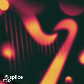 [平静飘逸优美流行爵士乡村竖琴采样音源]Splice Originals Angelic Harp with Erin Hill [KONTAKT]（844Mb）