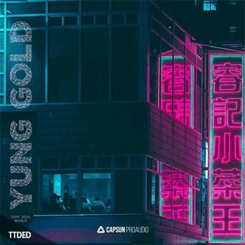 [灵魂民族陷阱RnB采样]Capsun ProAudio Yung Gold Trap Soul World [WAV]（737Mb）