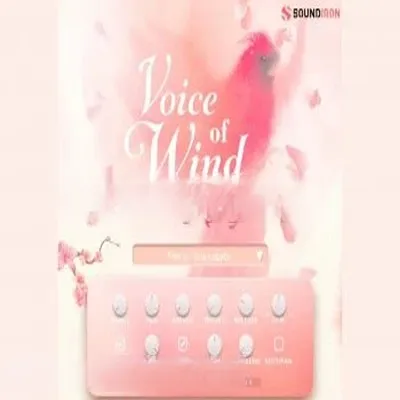 女性独唱声乐库 – Soundiron Voice Of Wind Adey Content for HALion