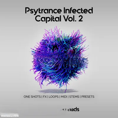 Embreda Sounds Psytrance Infected Capital Vol. 2 WAV MiDi XFER RECORDS SERUM-FANTASTiC