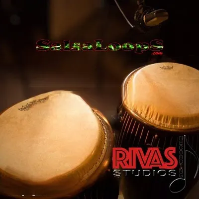 Salsa Loops Modern Salsa Loops WAV AiFF