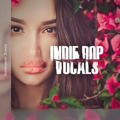 Steinberg Indie Pop Vocals VSTSOUND