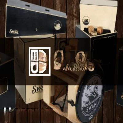 inMusic Brands BFD Swan Percussion (BFD3)