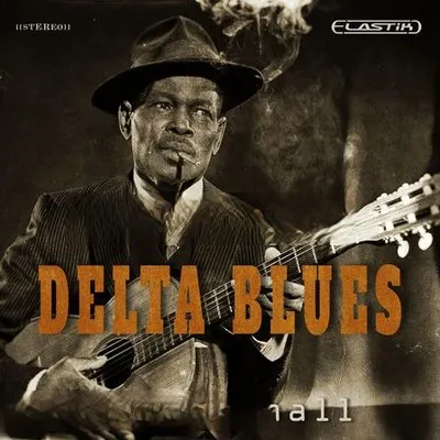 Ueberschall Delta Blues ELASTIK