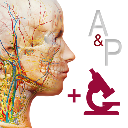 Visible Body Anatomy & Physiology 6.2.07 破解版 – 解剖生理医学软件