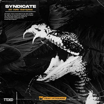 [嘻哈陷阱RnB采样]Trap Veterans Syndicate [WAV]（28Mb）