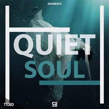 [Trap陷阱素材Omnisphere预置Sylenth1预置]Shobeats Quiet Soul [WAV, MiDi]（748Mb）