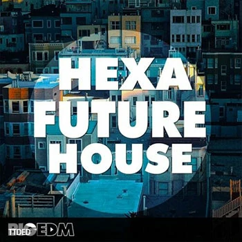 [House浩室素材Sylenth1预置Massive预置]Big EDM Hexa Future House [WAV, MiDi]（947Mb）