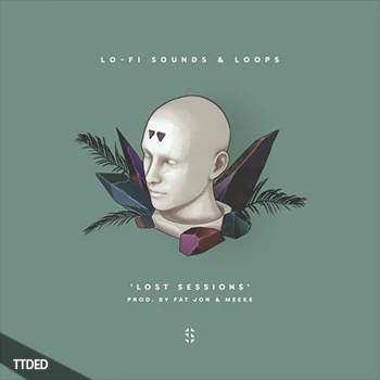 [嘻哈说唱素材Serum血清预置]Samplified Lost Sessions [WAV, MiDi]（736Mb）
