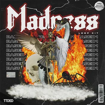 [嘻哈说唱RnB采样]Based1 Madness Loop Kit [WAV]（485Mb）