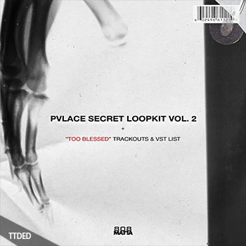 [嘻哈说唱采样]PVLACE Secret Loopkit Vol.2 [WAV]（224Mb）