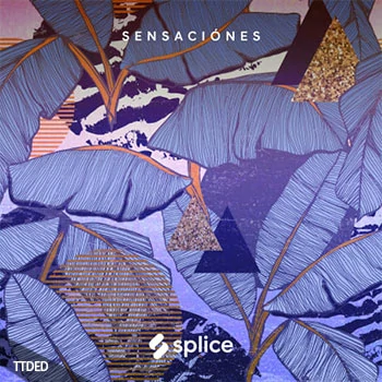 [拉丁RnB采样]Splice Originals Sensaciones Latin RnB [WAV]（434Mb）
