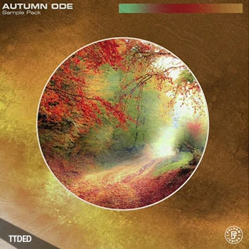 [灵魂RnB采样]Pelham and Junior Autumn Ode [WAV]（305Mb）