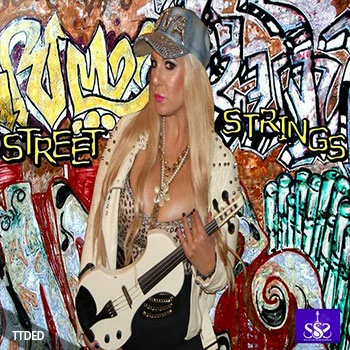 [嘻哈街头弦乐采样]Soulful String Samples STREET STRINGS [WAV]（29Mb）