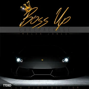 [HipHop-Trap素材+Massive预置音色]The Drum Bank The Boss Up Care Package [WAV, MiDi]（497Mb）