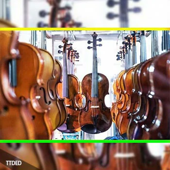 [教程]Udemy Beginner Violin Course VIOLIN MASTERY FROM THE BEGINNING（8.17Gb）