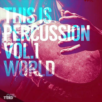 [民族打击乐采样]Black Octopus Sound This Is Percussion Vol.1 World [WAV]（790Mb）