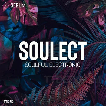 [RnB流行嘻哈MiDi素材Serum血清预设]SynthHacker Soulect For Serum（402Mb）