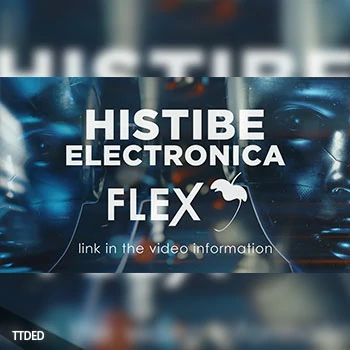 [Flex预置电子]Image-Line Flex Expansion Electronica by Histibe（4Mb）