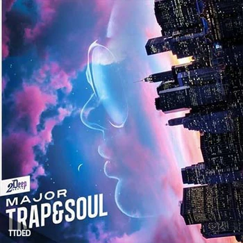 [嘻哈说唱RnB采样]2DEEP Major Trap And Soul [WAV]（356Mb）