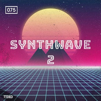 [怀旧迪斯科合成波素材]Bingoshakerz Synthwave Vol.2 [多格式]（647Mb）