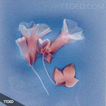 [Trap陷阱鼓组采样]KeDALOS LUNAR (Drumkit) [WAV]（268Mb）