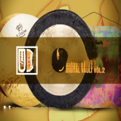 inMusic Brands BFD Zildjian Digital Vault Vol. 2 (BFD3)