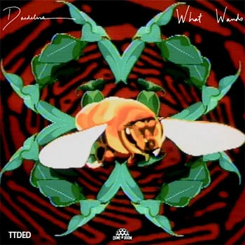 [Electronic电子乐采样]Dome Of Doom Daedelus What Wands Sample Pack [WAV]（80Mb）