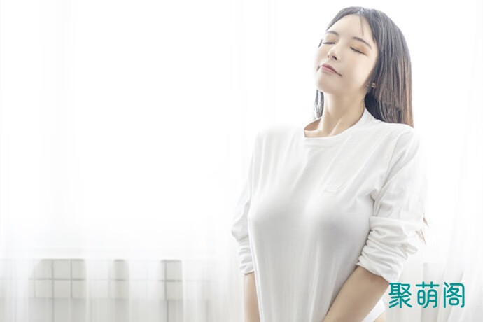 秋和柯基免费图片洗衣房和暖香浓哪个更好看(秋和柯基全图)插图1 秋和柯基免费图片洗衣房和暖香浓哪个更好看(秋和柯基全图)插图1