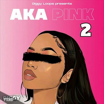 [灵魂RnB采样]Diggy Loops Aka Pink 2 [WAV]（45Mb）