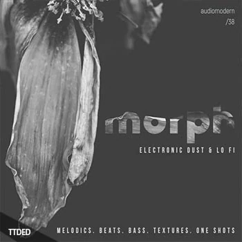 [Electronic电子乐采样]Audiomodern Morph [WAV]（440Mb）
