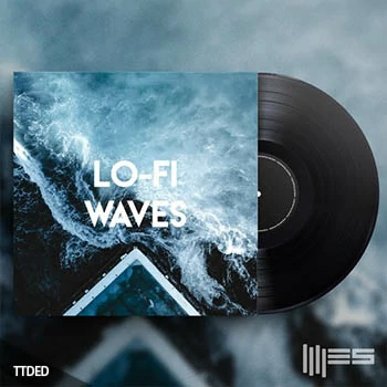 [弛放氛围RnB采样]Engineering Samples Lo-Fi Waves [WAV]（659Mb）