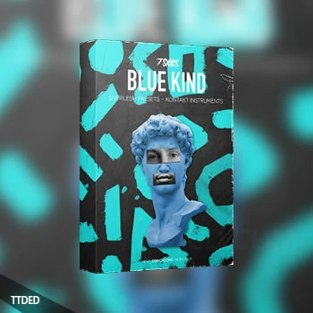 [电子乐采样Serum血清预置KONTAKT乐器]Standalone-Music BLUE KIND [WAV]（96Mb）