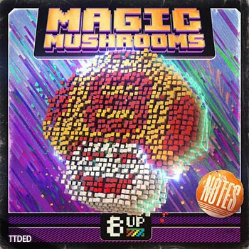 [迷幻蘑菇游戏合成音色采样]8UP Magic Mushrooms Notes [WAV]（1Mb）