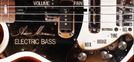 Adam Monroe Music Electric Bass v1.3 [WiN, MacOSX]