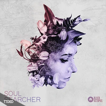 [Trap陷阱素材]Black Octopus Sound Soul Searcher [WAV, MiDi]（157Mb）