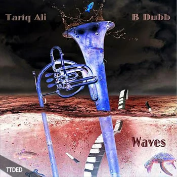 [RnB嘻哈说唱Trap采样]Tariq Ali x B Dubb – Waves (Loop Kit) [WAV]（106Mb）