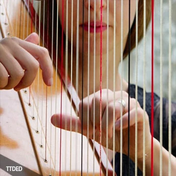 [和声竖琴采样]noiiz Harmonious Harps by Aur0ra [WAV]（435Mb）