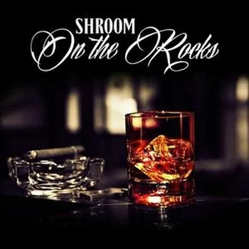 The Drum Sample Broker Shroom – On the Rocks WAV