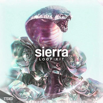 [嘻哈说唱陷阱采样]Based1 Sierra Loop Kit [WAV]（245Mb）