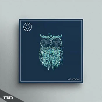 [Rap-HipHop-Trap采样]AngelicVibes Night Owl (R2) [WAV]（342Mb）
