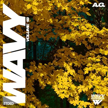 [氛围RnB采样]A.G. Wavy Sample Pack Vol.18 [WAV]（116Mb）