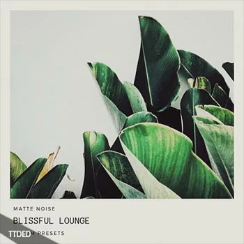 [Serum预置环境氛围]GOGOi Blissful Lounge（4Mb）