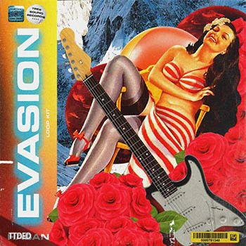 [嘻哈RnB采样]Hagan Evasion Loop Kit [WAV]（212Mb）