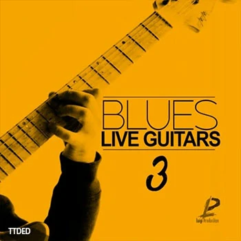 [爵士布鲁斯现场吉他采样]Luigi Production Blues Live Guitars 3 [WAV]（191Mb）