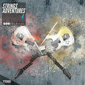 [流行电子氛围RnB吉他采样]Audentity Records Strings Adventures 4 [WAV]（97Mb）