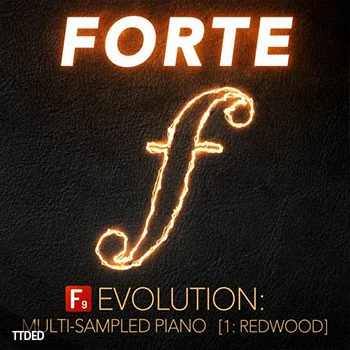 [电子乐钢琴素材]F9 Audio F9 Forte Evolution Redwood Club Piano [多格式]（4.88Gb）