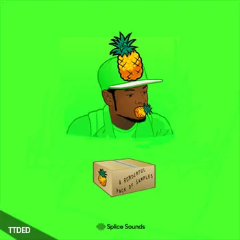 [嘻哈说唱采样]Splice Sounds A ROMderful Pack of Samples [WAV]（115Mb）