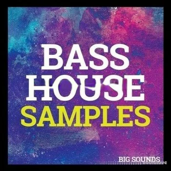 Big Sounds Bass House Samples [WAV, MiDi, Synth Presets]