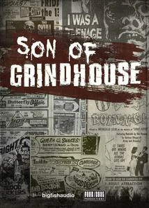 Big Fish Audio & Funk Soul Productions – Son of Grindhouse KONTAKT AiFF REX